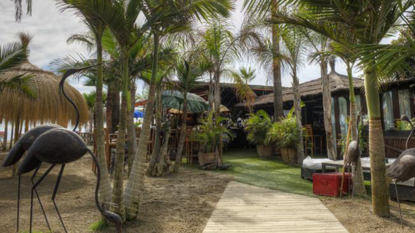 a beautiful beach club with a palm tree