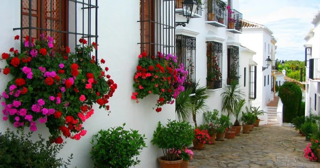Marbella houses with flowers