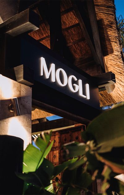 Mogli Marbella