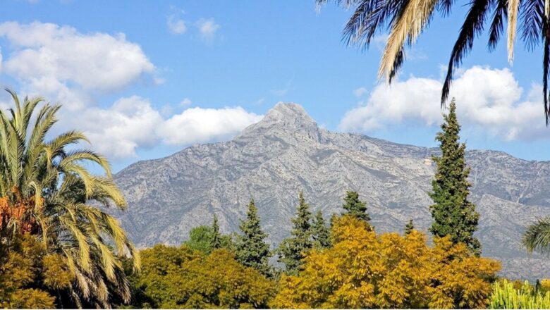 La Concha Marbella