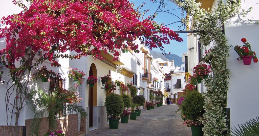 things to do in Estepona