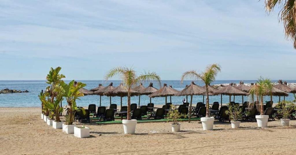 La Sala by the Sea beach beds line. Marbella Beach Club