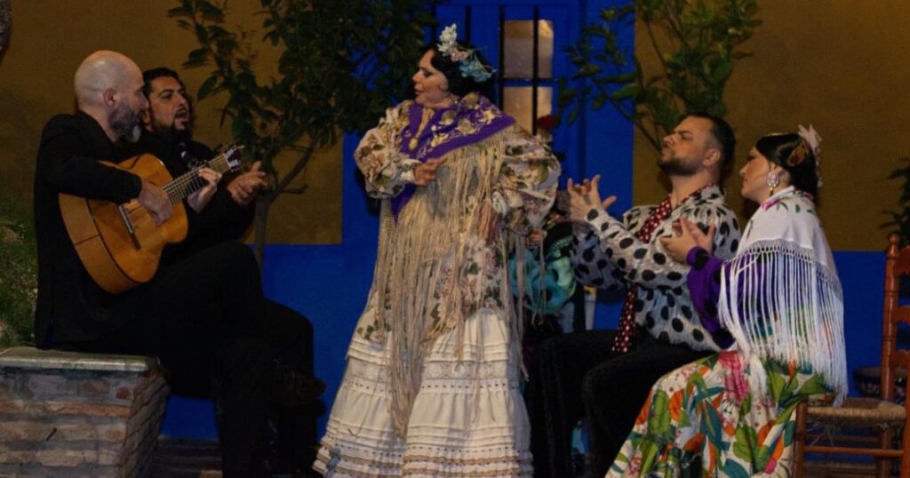 Marbella Flamenco Shows