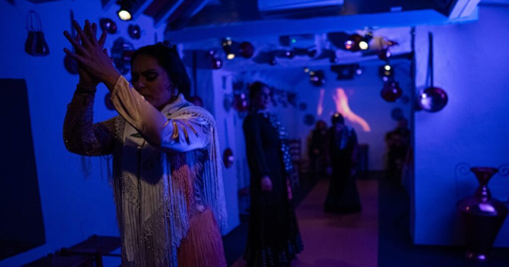 Marbella Flamenco Shows